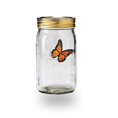 Schmetterling im Glas