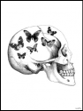 Totenkopf mit Schmetterlingen - Poster mit schwarzem Rahmen