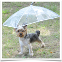 Hunde-Regenschirm